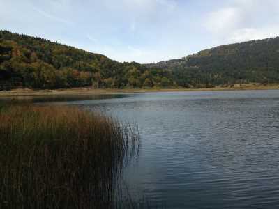 Abant Gölü Tabiat Parkı